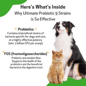 Pet Wellbeing - Ultimate Probiotic 9 Strains for Cats and Dogs - Natural Support for Digestion and Urinary Tract Health 160 grams.