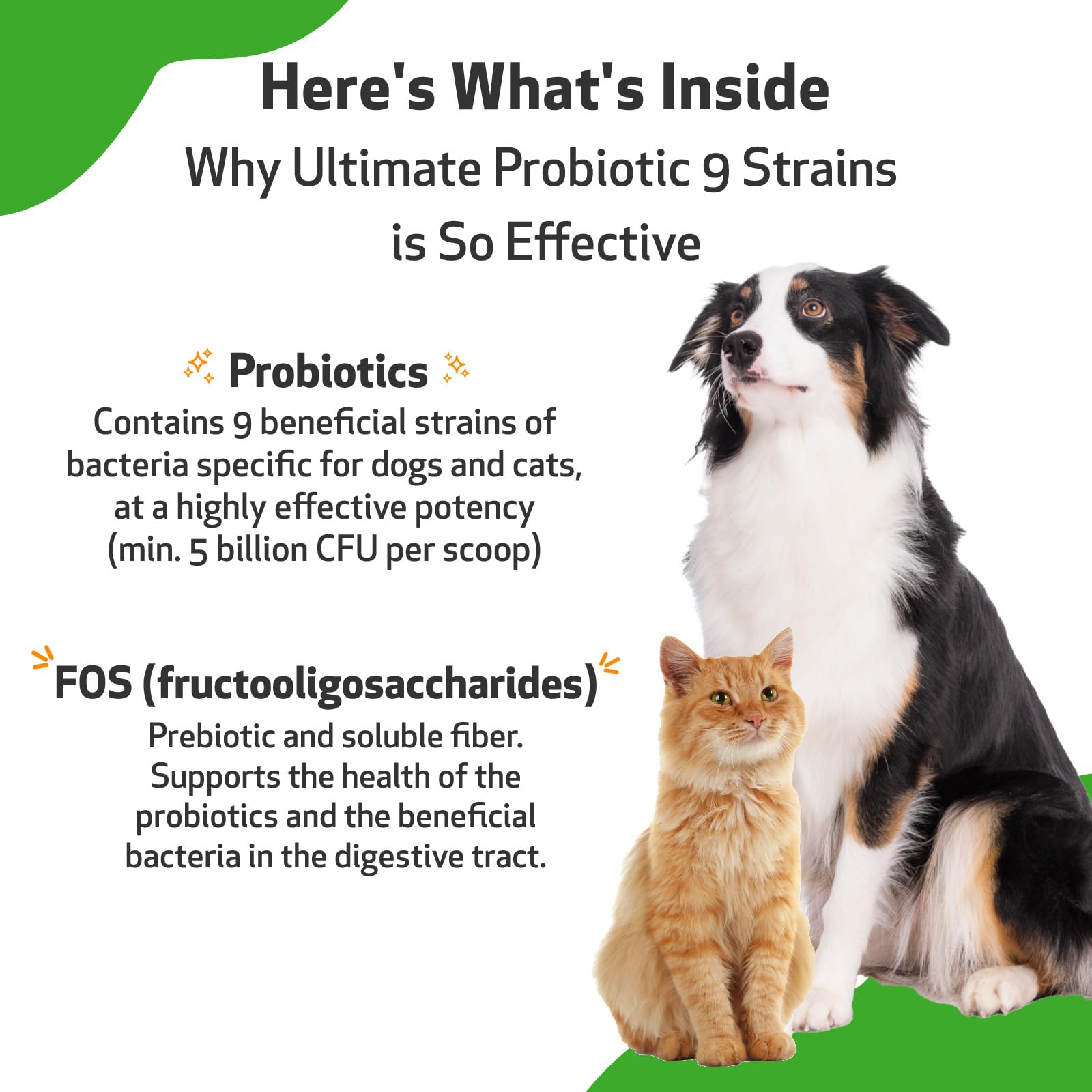 Pet Wellbeing - Ultimate Probiotic 9 Strains for Cats and Dogs - Natural Support for Digestion and Urinary Tract Health 160 grams.