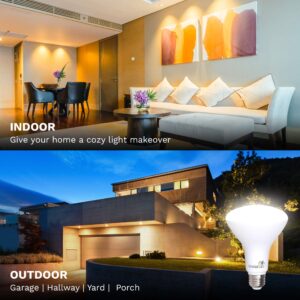 Bioluz LED 4 Pack 90 CRI BR30 LED Flood Light Bulbs Indoor Outdoor INSTANT ON DIMMABLE Warm White 2700K Replaces 65-95 Watt Using 9.5 Watts UL Listed 2016 Title 20 High Efficacy Lighting