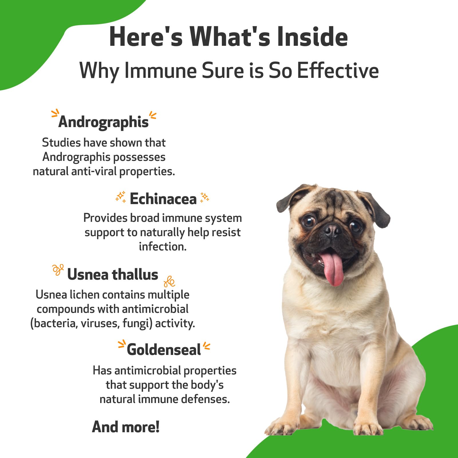 Pet Wellbeing Immune Sure for Dogs - Vet-Formulated - Immune System Support & Protection - Natural Herbal Supplement 2 oz (59 ml)