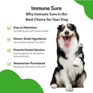 Pet Wellbeing Immune Sure for Dogs - Vet-Formulated - Immune System Support & Protection - Natural Herbal Supplement 2 oz (59 ml)