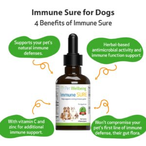 Pet Wellbeing Immune Sure for Dogs - Vet-Formulated - Immune System Support & Protection - Natural Herbal Supplement 2 oz (59 ml)