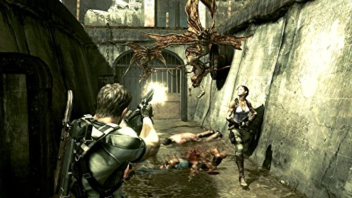 Resident Evil 5 - Standard Edition - PlayStation 4