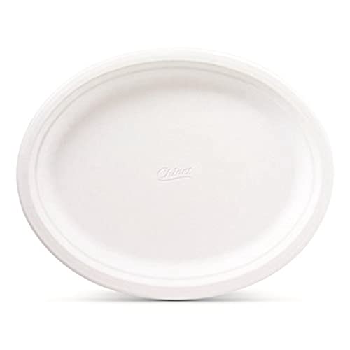 Chinet Premium 12 5/8 x 10-Inch Paper Platters, 24 ct - 2 Pack