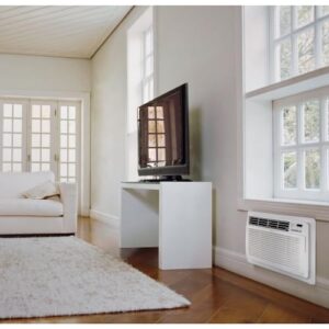 LG 10,000 BTU Through the Wall Air Conditioner, 115V, Cools up to 440 Sq. Ft. for Bedroom, Living Room, Apartment, with Remote, 3 Cool & Fan Speeds, Wall AC Unit, White