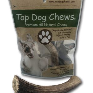 Top Dog Chews Premium Large Grade A Whitetail Deer Antler for Dogs - Single Antler