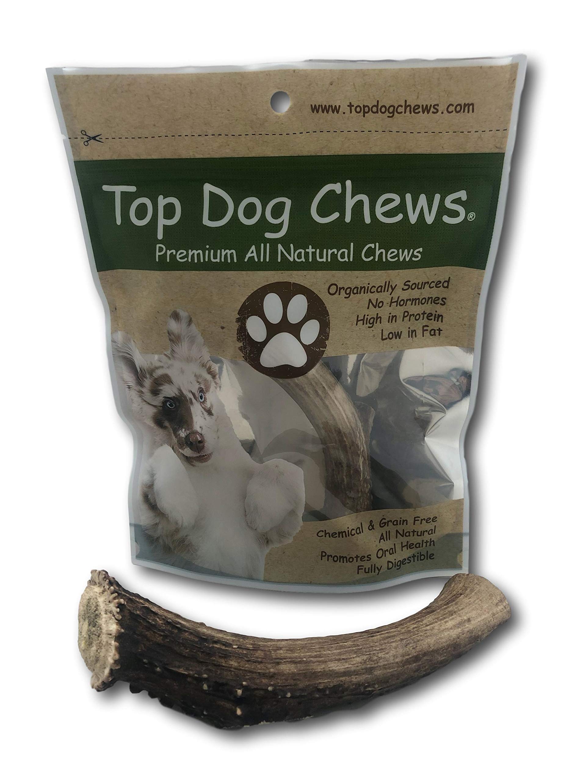 Top Dog Chews Premium Large Grade A Whitetail Deer Antler for Dogs - Single Antler