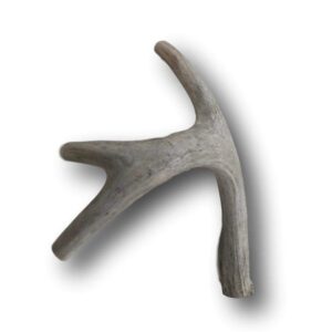 Top Dog Chews Premium Large Grade A Whitetail Deer Antler for Dogs - Single Antler