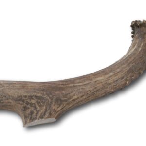 Top Dog Chews Premium Large Grade A Whitetail Deer Antler for Dogs - Single Antler