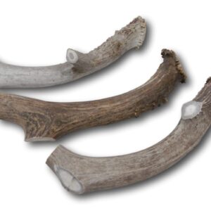 Top Dog Chews Premium Large Grade A Whitetail Deer Antler for Dogs - Single Antler