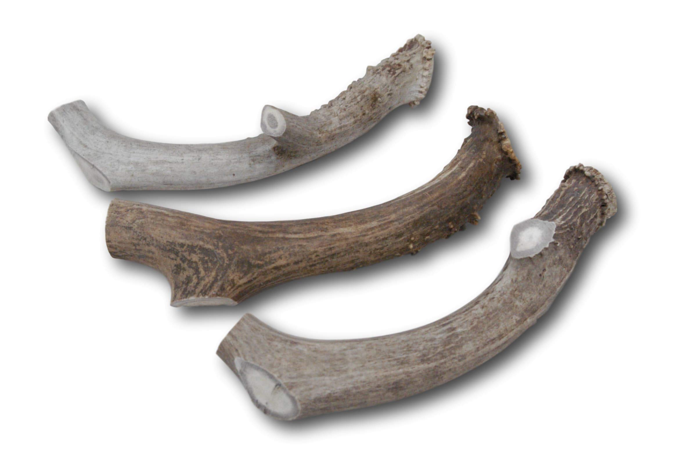 Top Dog Chews Premium Large Grade A Whitetail Deer Antler for Dogs - Single Antler