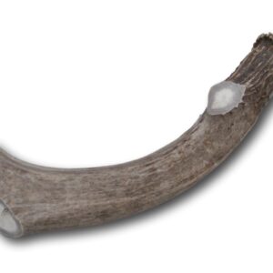 Top Dog Chews Premium Large Grade A Whitetail Deer Antler for Dogs - Single Antler