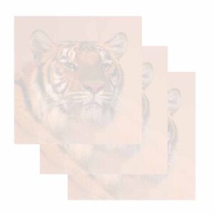 Tiger Face Sticky Notes - Set of 3 - Wildlife Animal Theme Design - Stationery Gift - Paper Memo Pad - Office and School Supplies