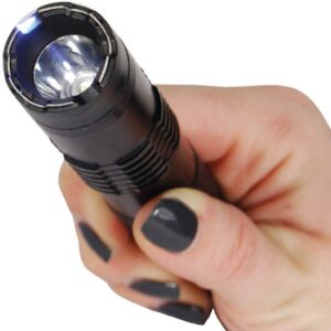 Bashlight 15 Million Volt Flashlight Stun Gun