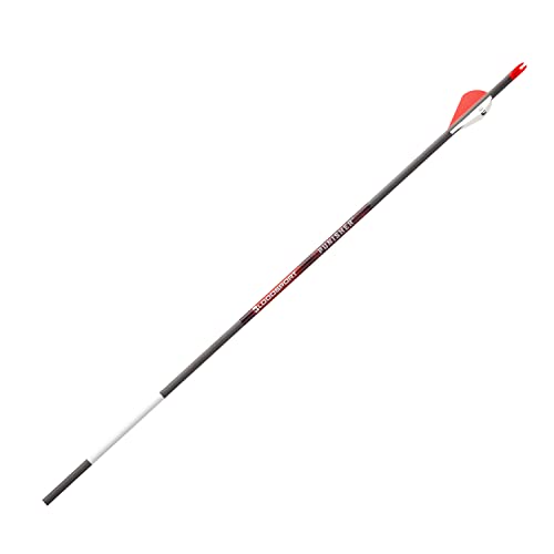 BLOODSPORT Punisher Precise Durable Carbon Fletched Hunting Arrow for Compound Bow - 31" Length, 244" Standard-Diameter, 004" Straightness, 6 Pack, 350 Spine,Black