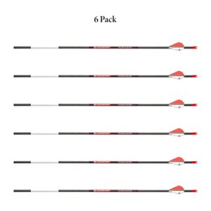 BLOODSPORT Punisher Precise Durable Carbon Fletched Hunting Arrow for Compound Bow - 31" Length, 244" Standard-Diameter, 004" Straightness, 6 Pack, 350 Spine,Black