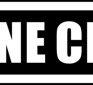 Tone City Comp Engine Compressor All Mini's are NOT the same! Fast U.S. Ship!