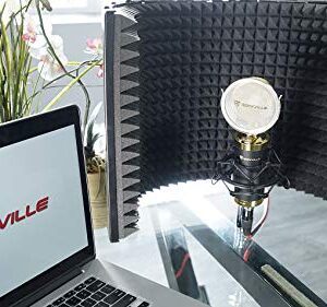 Rockville RCM02 Pro Studio Recording Condenser Microphone Mic+Metal Shock Mount, Black