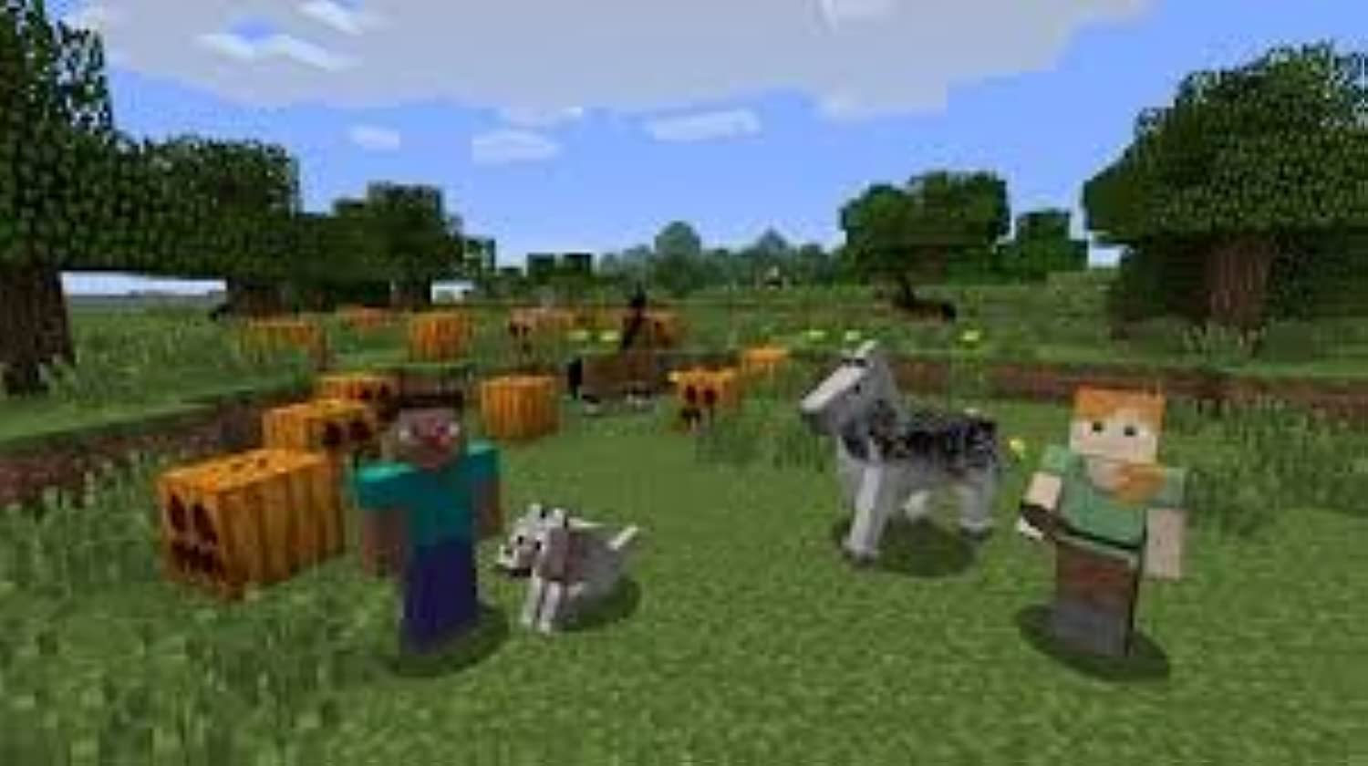 Minecraft: Wii U Edition - Wii U Standard Edition