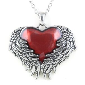 Controse Women's Silver-Toned Stainless Steel - Guarded Heart Necklace with Pendant 28"