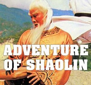 Adventure of Shaolin