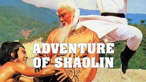 Adventure of Shaolin