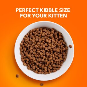 IAMS PROACTIVE HEALTH Healthy Kitten Dry Cat Food with Chicken Cat Kibble, 3.5 lb. Bag