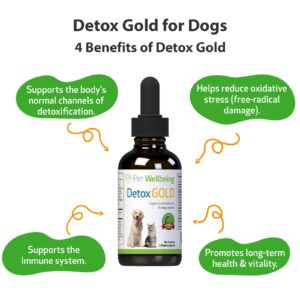 Pet Wellbeing Detox Gold for Dogs - Vet-Formulated - Gentle Detoxification & Elimination Support - Natural Herbal Supplement 2 oz (59 ml)