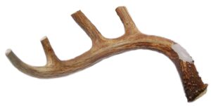 xl deer antler dog chew - extra large, jumbo, for large dogs and puppies who are aggressive chewers