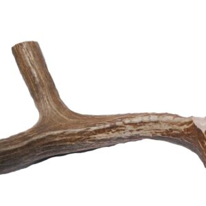 XL Deer Antler Dog Chew - Extra Large, Jumbo, for Large Dogs and Puppies Who are Aggressive Chewers