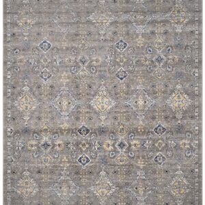 SAFAVIEH Evoke Collection 8' x 10' Dark Grey / Yellow EVK224G Boho Oriental Non-Shedding Living Room Bedroom Dining Home Office Area Rug