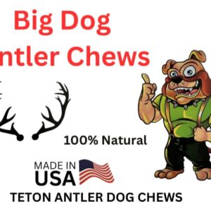 Big Dog Antler Chews - Extra Large 2-Pack Elk Antler Dog Chews, 6 Inches to 10 inches Long, for Medium to Large Dogs and Puppies