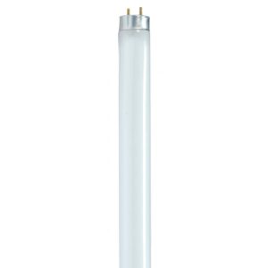 satco s8421 32 watt 120 volt t8 standard fluorescent linear tube lighting, 5000k natural light, 2900 lumen; 85 cri; g13 medium bi-pin base (30 light bulbs)