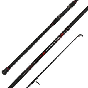 fiblink surf spinning fishing rod 2-piece carbon travel fishing rod (length: 10')