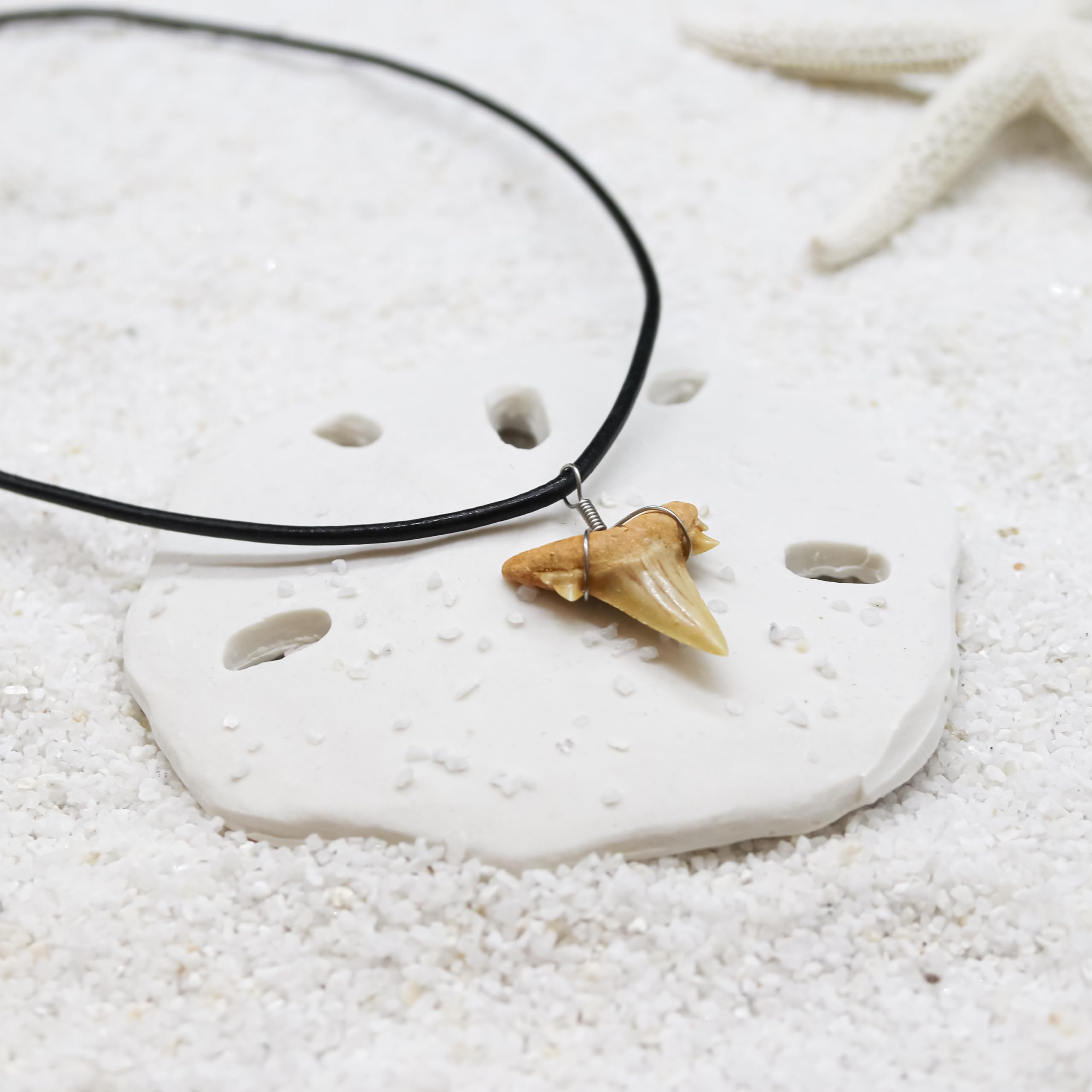 Natural Shark Tooth Necklace for Boys, Genuine Fossil Shark Teeth Jewelry for Men, Cool Beach Necklaces for Teen Girls, Beachy Surfer Necklace for Women