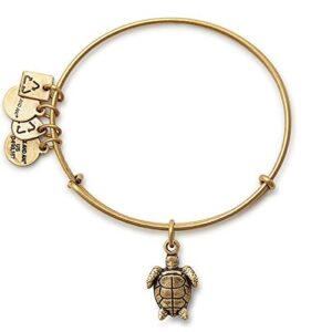 Alex and Ani Turtle Rafaelian Gold Bangle Bracelet