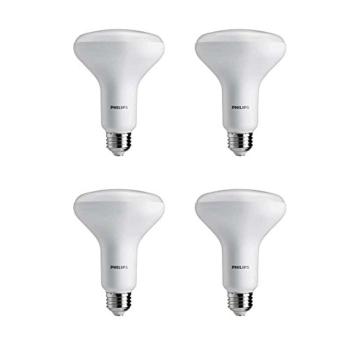 Philips LED Dimmable BR30 Light Bulb: 650-Lumen, 5000-Kelvin, 8-Watt (65-Watt Equivalent), E26 Base, Daylight, 4-Pack