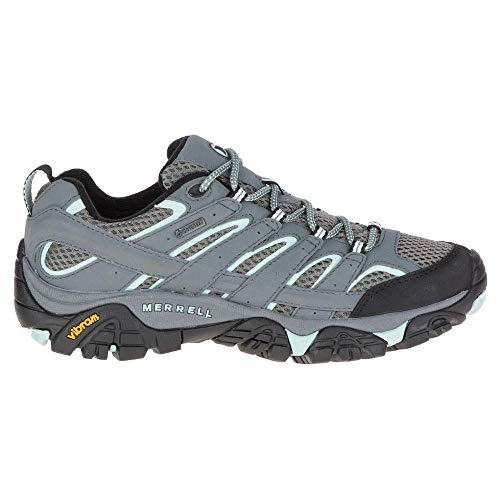 Merrell womens Moab 2 Gtx Hiking Shoe, Sedona Sage, 10.5 US