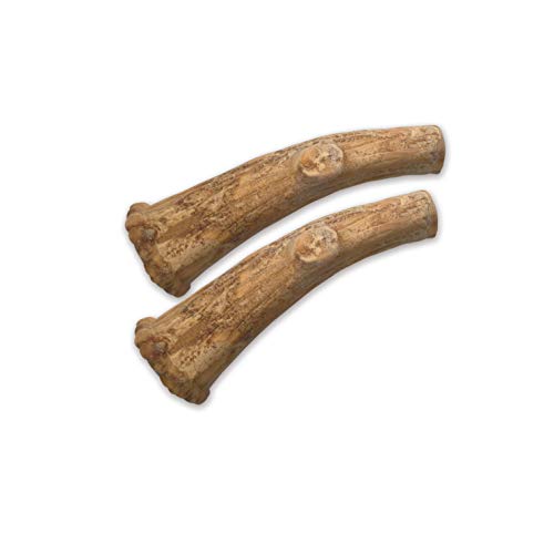 Nylabone Healthy Edibles WILD Antler Natural Long Lasting Venison Flavor Dog Chew Treats Medium/Wolf (2 Count)