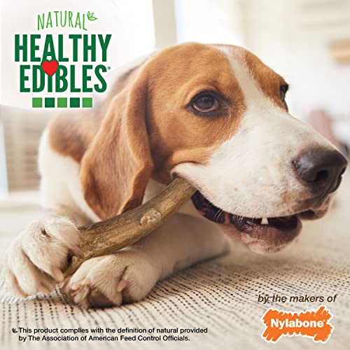 Nylabone Healthy Edibles WILD Antler Natural Long Lasting Venison Flavor Dog Chew Treats Medium/Wolf (2 Count)