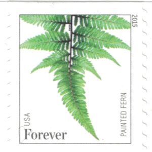 USPS Ferns Stamps - 50 Forever Stamps (5 Strips of 10 Stamps)