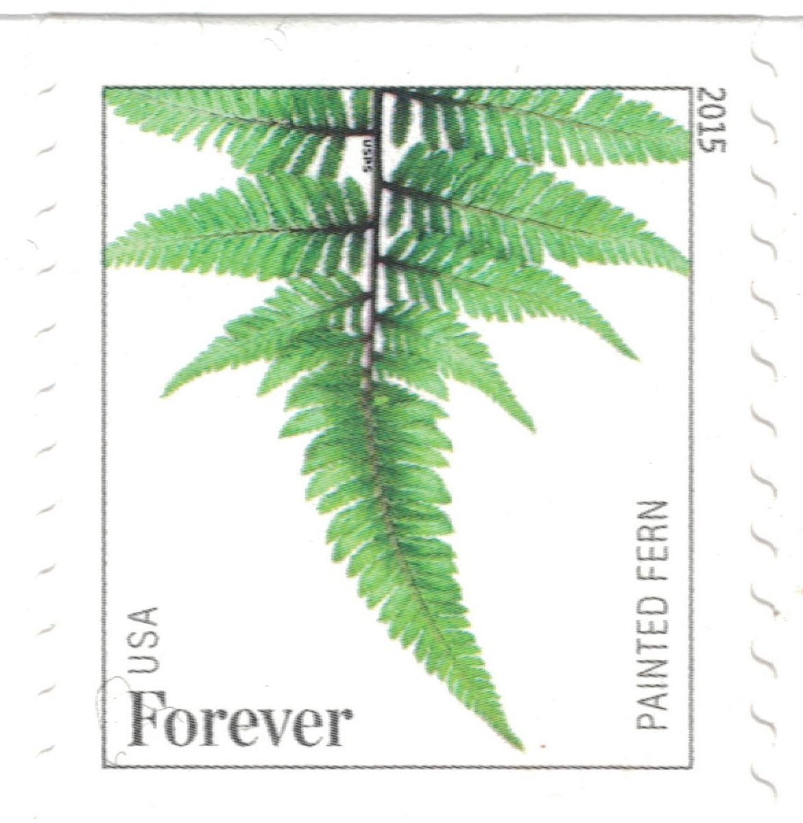 USPS Ferns Stamps - 50 Forever Stamps (5 Strips of 10 Stamps)