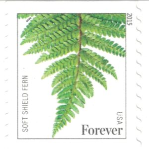 USPS Ferns Stamps - 50 Forever Stamps (5 Strips of 10 Stamps)