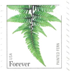 USPS Ferns Stamps - 50 Forever Stamps (5 Strips of 10 Stamps)