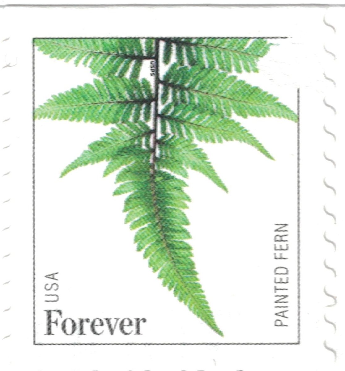 USPS Ferns Stamps - 50 Forever Stamps (5 Strips of 10 Stamps)