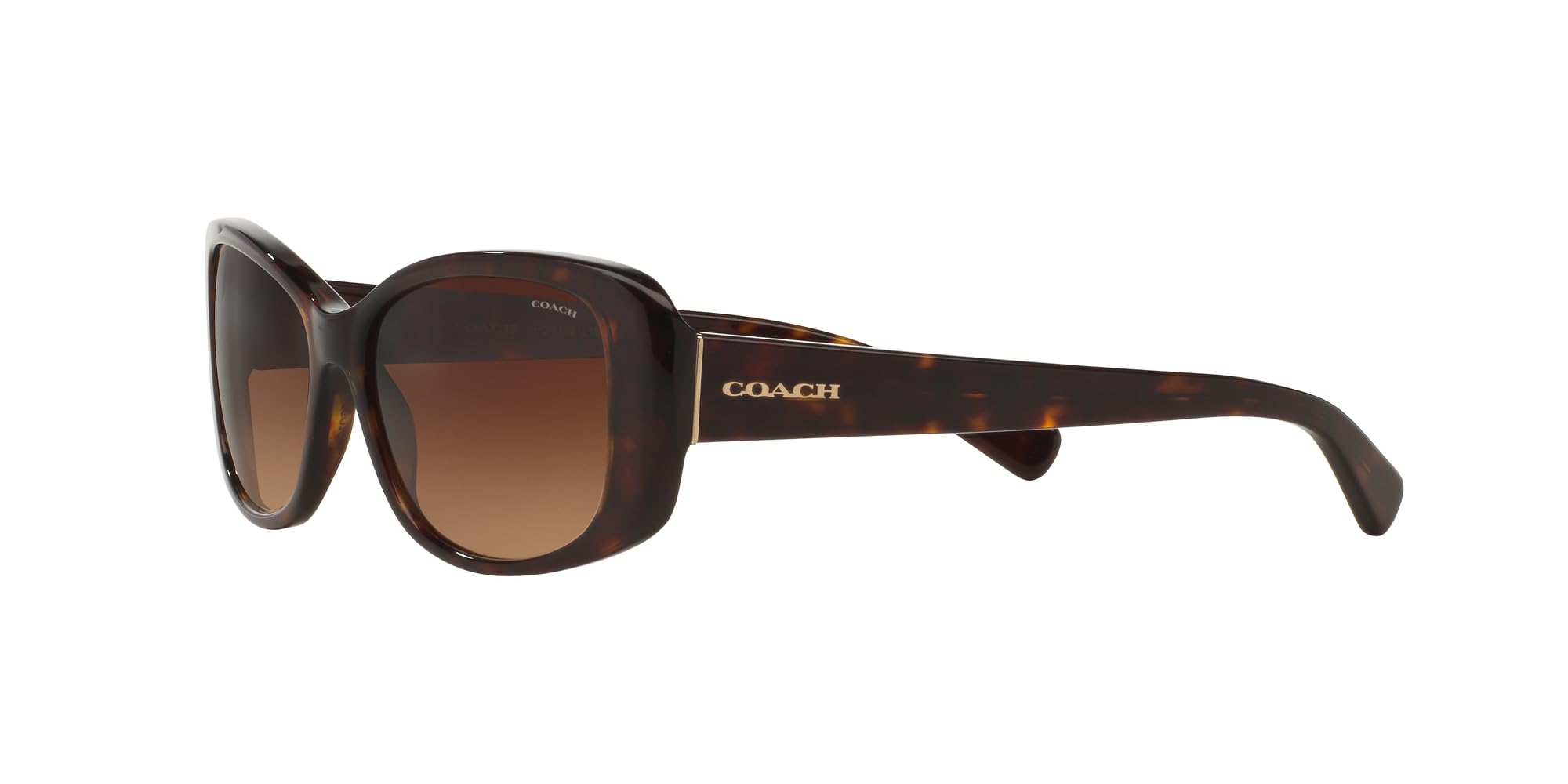 Coach HC8168 Sunglasses, Dark Tortoise/Brown Gradient, 56 mm