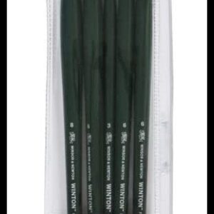 Winsor & Newton Winton Long Handle Brush (5 Pack) (Round 6, Filbert 6, Flat 6, Bright 8, Fan 3)