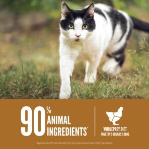 ORIJEN Original Cat, Grain Free Dry Cat Food for All Life Stages, With WholePrey Ingredients, 12lb