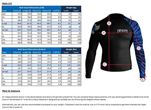 Raven Fightwear Men's Ulfhedinn MMA BJJ Rash Guard Black X-Large