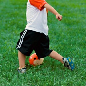 Daball Kid and Toddler Soccer Ball - Size 1 and Size 3, Pump and Gift Box Included (Size 1, Terry, The Fox)